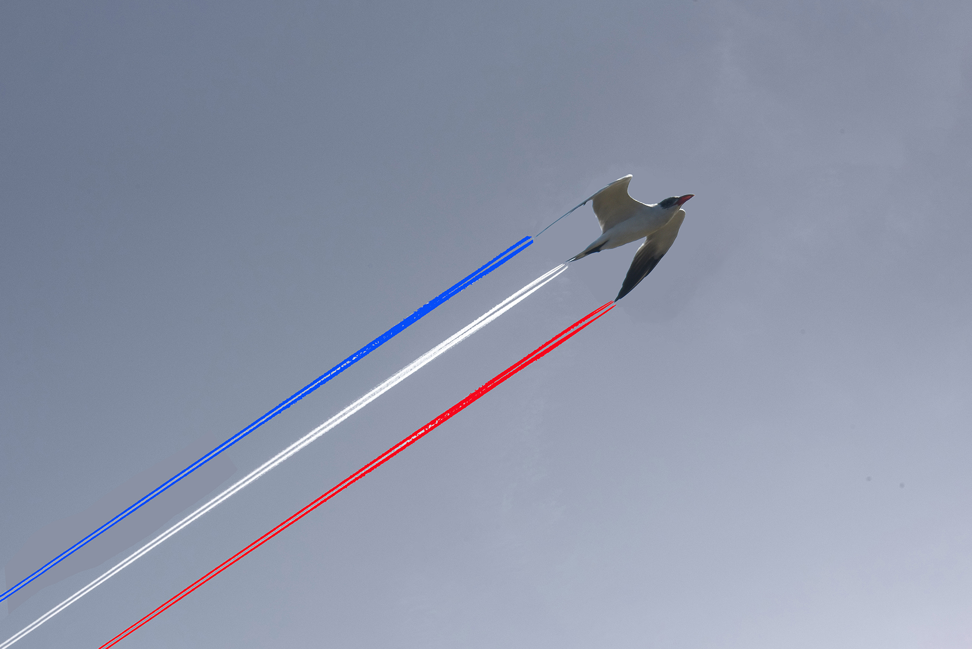 Patrouille de France écologique 